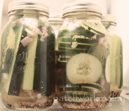 Patchworkreality Pickles